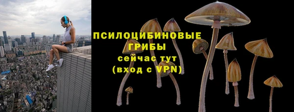 ALPHA PVP Верхний Тагил