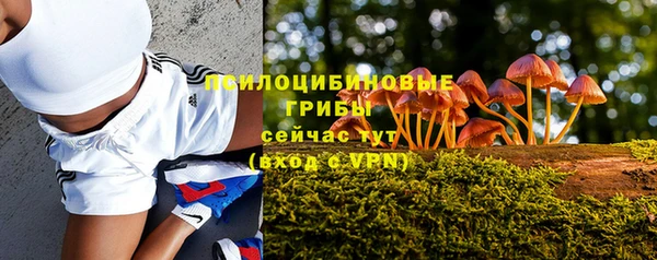ALPHA PVP Верхний Тагил